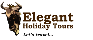 ELEGANT H LOGO II ELEGANT H LOGO II