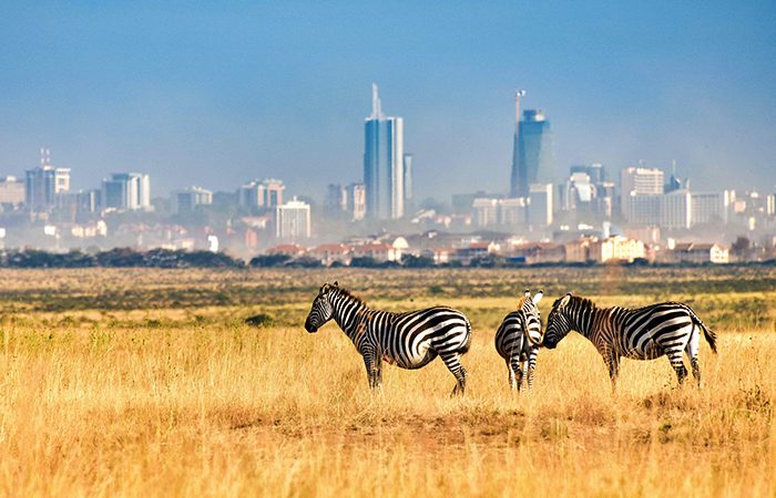 Nairobi-National-Park-700x450 Nairobi-National-Park-700x450