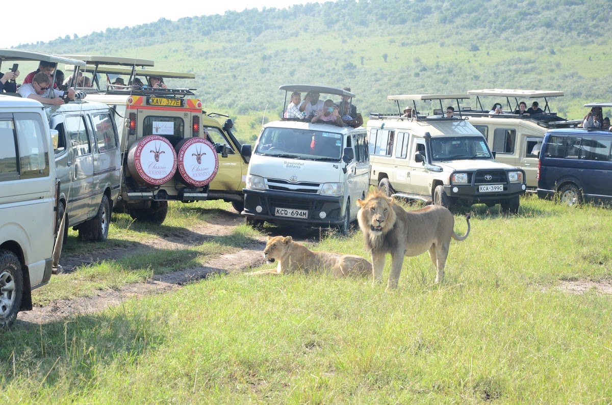 Tour cars mara Tour cars mara