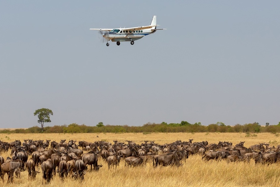 Mara-air-safari-packages