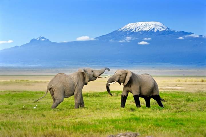 WhatsApp Image 2024-03-12 at 8.48.12 AM (1)