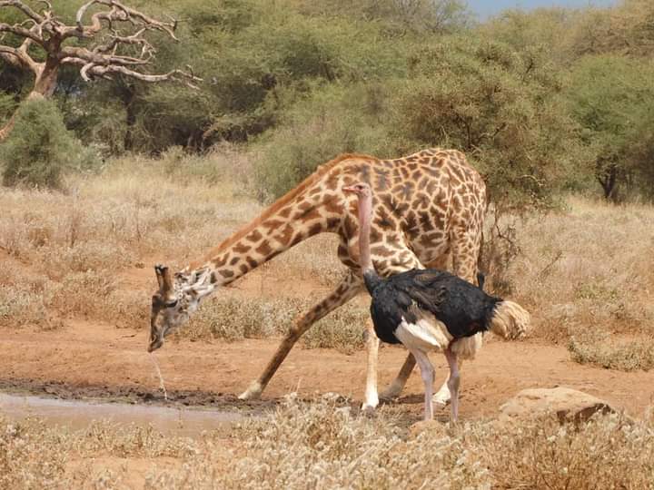 WhatsApp Image 2024-03-12 at 8.48.15 AM (1)