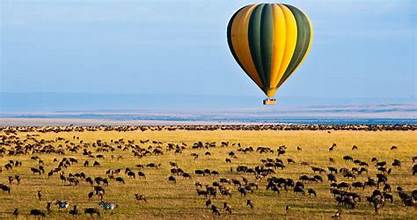 serengeti wildebeest.jpg1.jpg 4