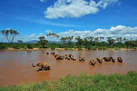 samburu 1