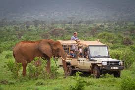 samburu 2